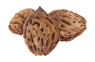 peach stone isolated on white background. As an element of packaging design