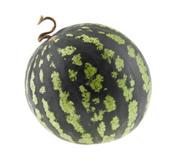 watermelon isolated on white background. As an element of packaging design