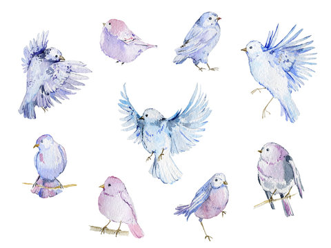 Watercolor birds collection. Isolated elements on white background.Hand drawn illustration in pastel colors