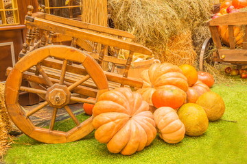 The harvest of pumpkins, melons and apples in a wooden cart