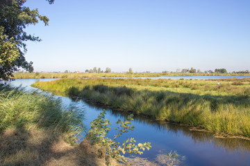 Polderlandschaft in Holland