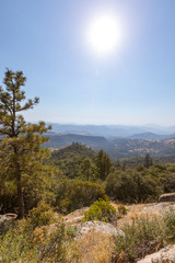 Fototapeta na wymiar Landschaft am E Kings Canyon Rd - Miramonte (Kings Canyon National Park, California)