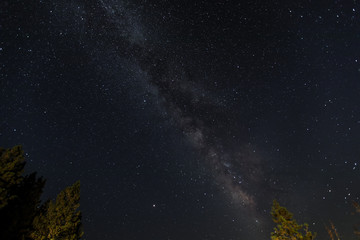 Fototapeta na wymiar Milchstraße am Sternenhimmel im Kings Canyon / Sequoia National Park (Kalifornien)