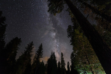 Milchstraße am Sternenhimmel im Kings Canyon / Sequoia National Park (Kalifornien)