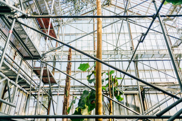 Herbstliche Impressionen aus dem Botanischen Garten der Universität Greifswald