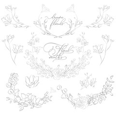 Vector Drawn Plants and Flowers, Wreaths, Corners, Branches