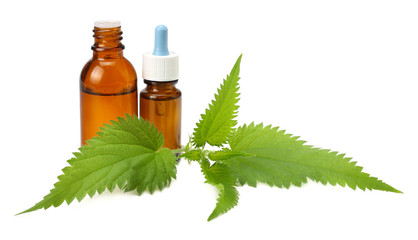 nettle essential oil isolated on white background. medical herbs.