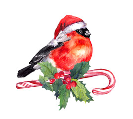 Christmas bird finch in red santa hat on candy cane and mistletoe. Watercolor