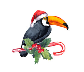 Toucan bird in red santa hat on candy cane and xmas mistletoe. Unusual card for tropical Christmas. Watercolor card