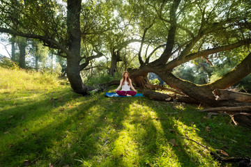 junge rothaarig Frau macht Yoga Übungen in der Natur in Sportkleidung in der Sonne im Wald