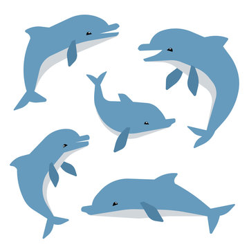 Cute dolphins in different poses vector illustation. Dolphins isolated on white background. Animal mammal dolphin, sea wildlife