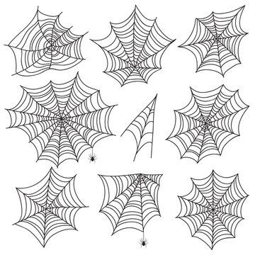 Halloween spiderweb. Black cobweb and spider silhouettes. Scary web vector graphics isolated on white background. Spiderweb silhouette, cobweb halloween illustration