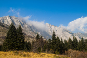 Mountain landscape in autumn, yellow grass and trees, peak in clouds in distance.