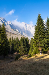 Obraz premium Mountain landscape in autumn, yellow grass and trees, peak in clouds in distance.