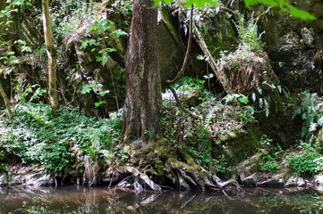 Fototapete bei efototapeten.de bestellen   