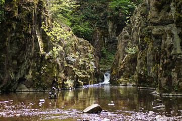 Fototapete bei efototapeten.de bestellen   