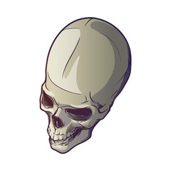 Human Skull hand drawing. Top angle. Linear drawing painted in 3 shades, isolated on white background. EPS10 vector illustration