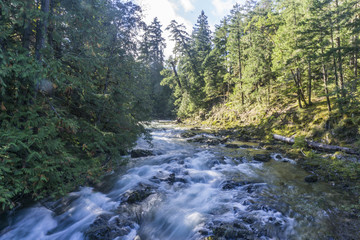 View of Little Qualicum Falls on Vancouver Island, Canada
