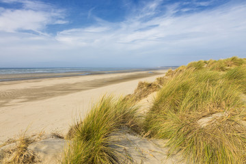 Fototapeta na wymiar Beach and dunes of Le Touquet-Paris-Plage, France