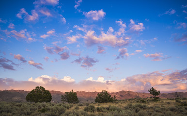 Mt Petersen California