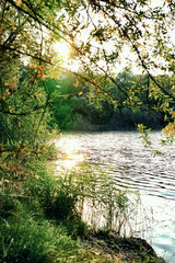 Obraz na płótnie Canvas Lake Mannheimrheinau germany water waves reflexions yoga background autumn leafs