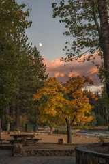 Fall Colors Lake Tahoe