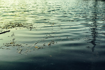 Lake Mannheim germany water rheinau waves reflexions yoga background sky