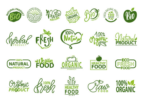 Natural Bio and Organic Food Vector Illustration