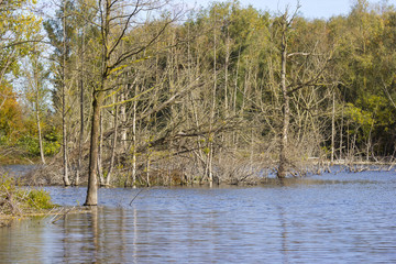 nature reserve Bislicher Insel, Lower Rhine Region, Germany