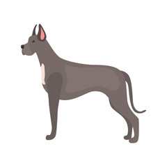 German dog color cector icon. Flat design