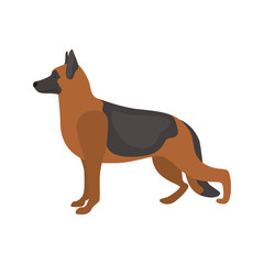 German Shepherd color vector icon. Flat design