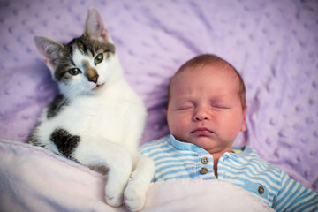 Katze beschützt das Baby