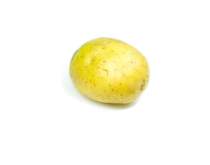 Potato is vegetable on isolated white background.