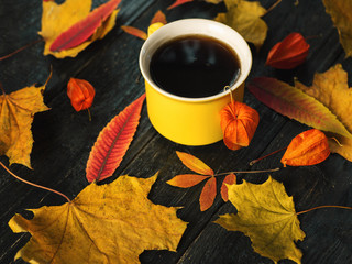 Coffee mug surrounded by autumn colorful leaves on a dark background