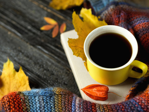Autumn comfort. Mug of hot coffee with a colorful scarf with colorful autumn leaves on wooden background copy space