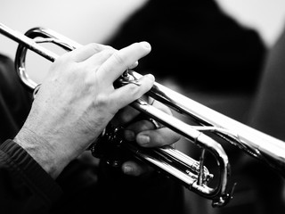 Obraz premium Trumpet player.