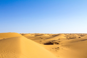 Fototapeta na wymiar Sand dunes in the Maranjab desert, near Kashan, Iran, at sunset during a warm summer afternoon. Maranjab desert is one of the main landmarks of the region