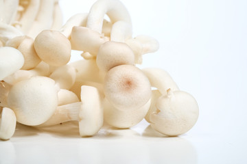 'Mushroom' good food from nature for good health.