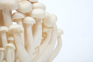 'Mushroom' good food from nature for good health.