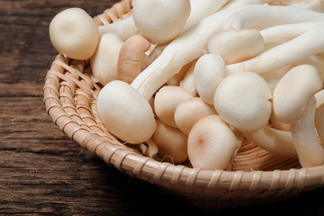 Fototapeta na wymiar 'Mushroom' good food from nature for good health.