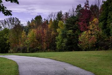 Autumn Color