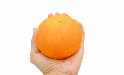 citrus orange fruit  in the hand on white background
