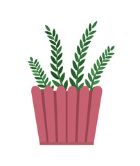 Rosemary Room Plant Pink Pot Vector Illustration