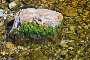Rock in the water