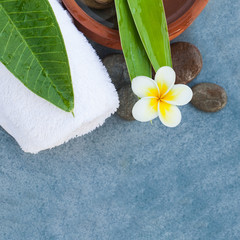 Obraz na płótnie Canvas Spa set with tropical flower for relax body massage treatment on blue background.