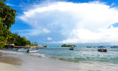 Cayo Levantado: Antillen, Karibik, Ferien, Tourismus, Sommer, Sonne, Strand, Auszeit, Meer, Glück, Entspannung, Meditation, Palmen, Mangroven: Traumurlaub an einem einsamen, karibischen Strand :)