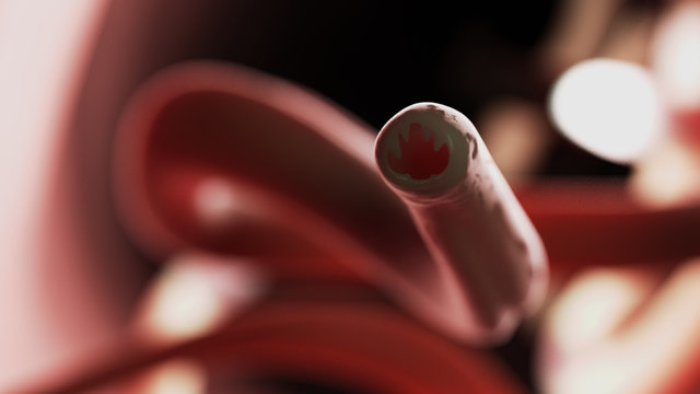 3d rendered medically accurate illustration of a hookworm