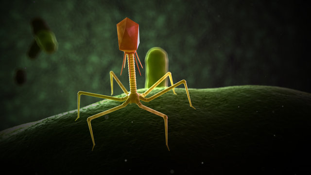 616 BEST Phage IMAGES, STOCK PHOTOS & VECTORS | Adobe Stock