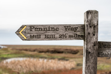Boulders, Hoper Woodlands Moor, Peak District National Park, United Kingdom 