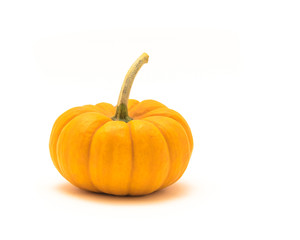 Studio shot one raw mini pumpkin with stem isolated on white background. Halloween decoration object with copy space